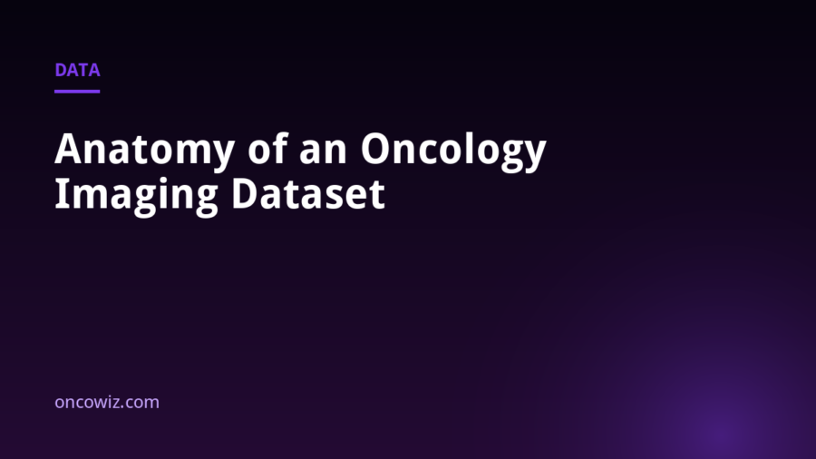 Anatomy of an Oncology Imaging Dataset